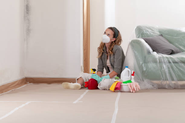 Reliable Mold Cleanup contractor in Kalamazoo, MI by Cheap Mold Removal